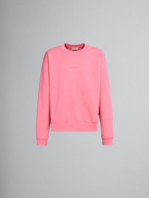 Marni Sweatshirt With Logo ροζ | PGRQX66152